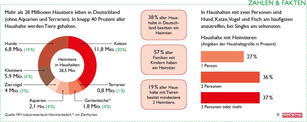 Rundschau De Eine Portion Mehr Lebenszeit